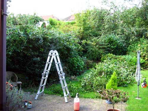 Specialist & Seasonal Services